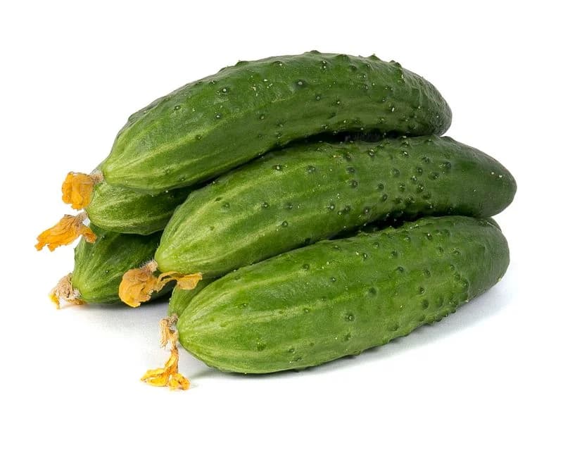 Огурцы Белая Дача