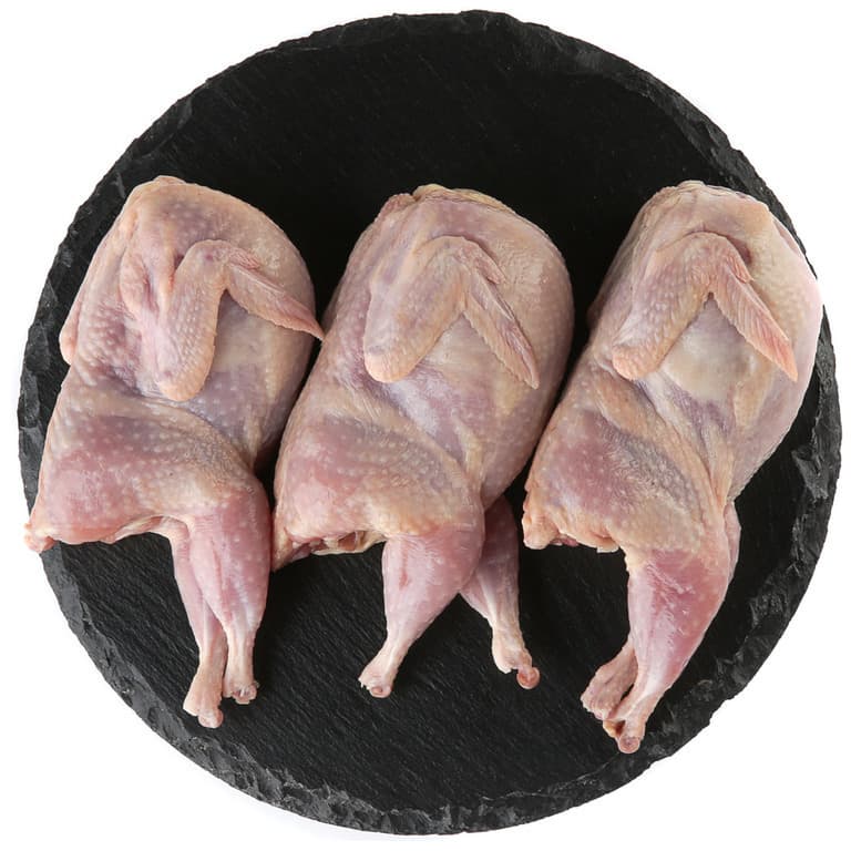 Перепелки крупные