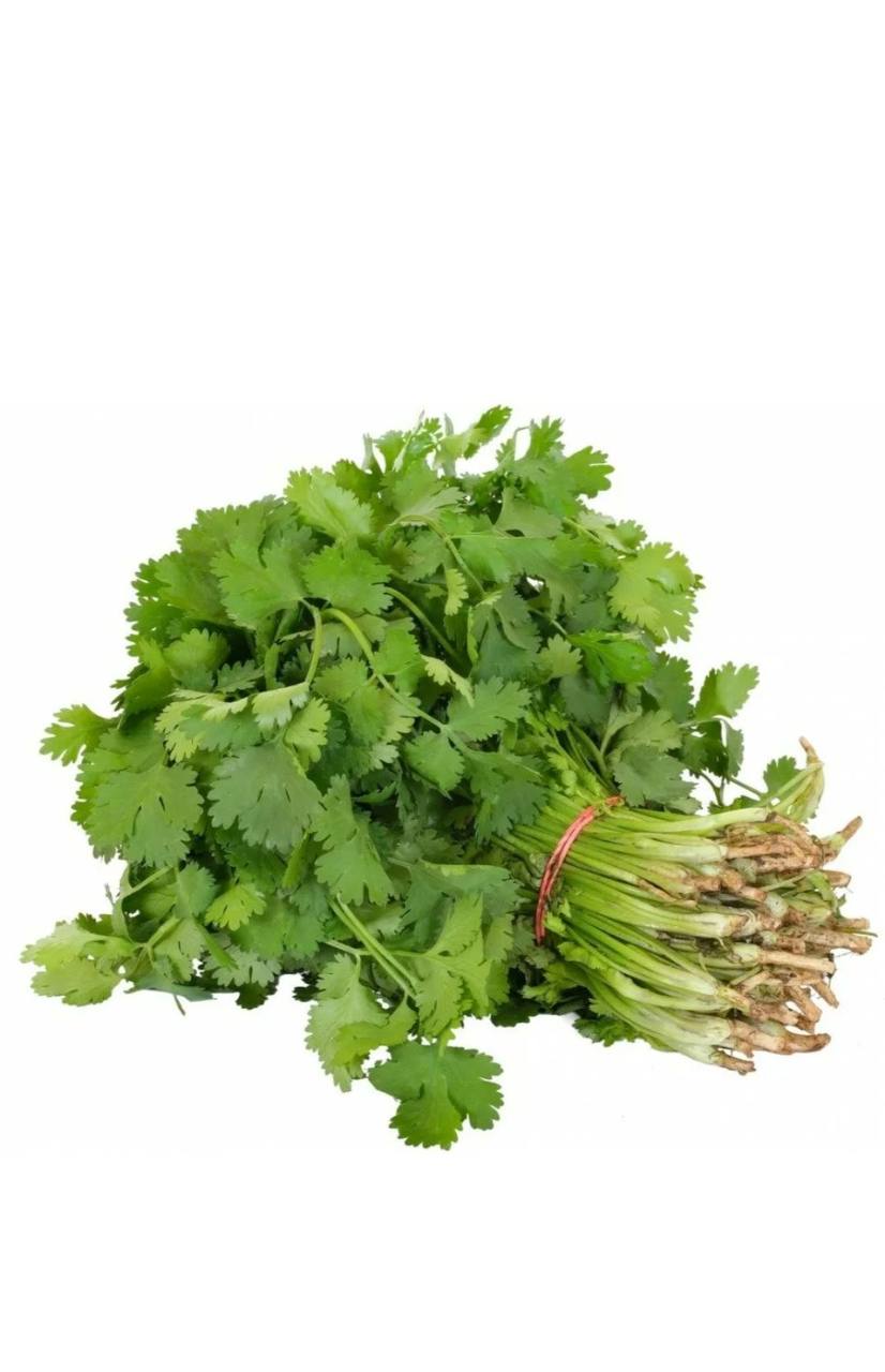 Кинза